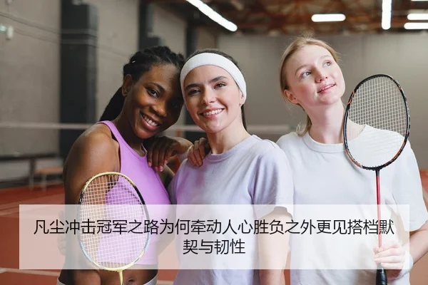 凡尘冲击冠军之路为何牵动人心胜负之外更见搭档默契与韧性